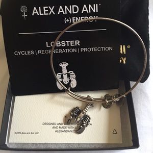 Alex and Ani Bracelet